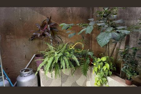 6_photo/94cef4fdef.f573b4c4437748d9-ATLAS-1347ea2b-4df5-4773-bd3c-16da1ddaf480.jpg de casa à venda com 4 quartos, 240m² em Vila Carioca, Guarulhos