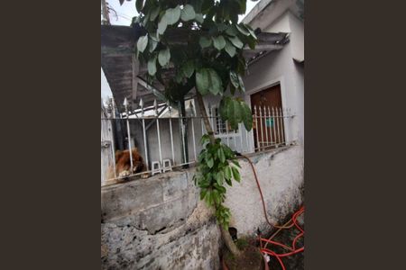 1_photo/94cef52191.05acccb2dbb53537-ATLAS-089dddb6-8075-4add-b362-a62f90b941ad.jpg de casa à venda com 3 quartos, 140m² em Jardim Iporanga, Guarulhos