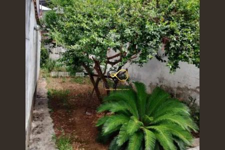 10_photo/94cef52b49.d6c0a399e235dac0-ATLAS-66ef49b0-65b5-44db-b694-eddd9ae9e66e.jpg de casa à venda com 3 quartos, 110m² em Jardim Bela Vista, Guarulhos