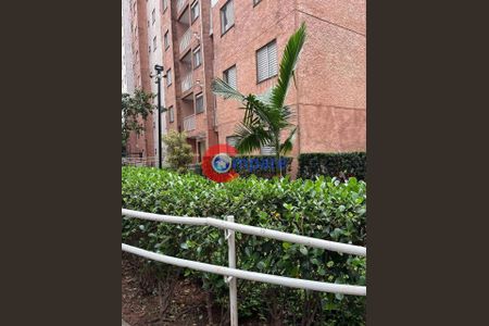 34_photo/94cef531b9.b760bf5d8bb46efe-ATLAS-01ac4537-2243-45cc-bc0f-9912d998f15e.jpg de apartamento para alugar com 2 quartos, 49m² em Jardim Cocaia, Guarulhos