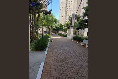 5_photo/94cef531e1.d0bd20797a4ff976-ATLAS-c9198f1f-c8f4-4eaf-898b-2a7b52f13e4a.jpg de apartamento para alugar com 2 quartos, 45m² em Jardim Cocaia, Guarulhos