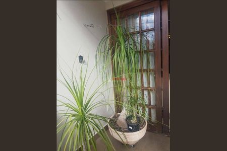 4_photo/94cef5570f.a15f321e408d66f6-ATLAS-bd2dcfcc-5ddc-4f5f-be18-0b194d25256b.jpg de casa à venda com 4 quartos, 434m² em Jardim São Paulo, Guarulhos