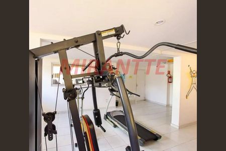 10_photo/94cef565f9.c1dc00249eefaead-ATLAS-9c09d162-6de7-42aa-bc46-b6152d3527e8.jpg de apartamento para alugar com 2 quartos, 56m² em Vila Tijuco, Guarulhos