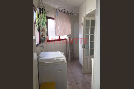 7_photo/94cef5a689.f2ed236aecaa8a04-ATLAS-a028a634-d4a8-4a68-8a0e-d612c448e03b.jpg de apartamento para alugar com 3 quartos, 90m² em Vila Milton, Guarulhos