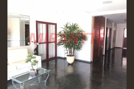 8_photo/94cef5a689.f2ed236aecaa8a04-ATLAS-d0460d84-9255-4782-9d21-1e01039b464c.jpg de apartamento para alugar com 3 quartos, 90m² em Vila Milton, Guarulhos