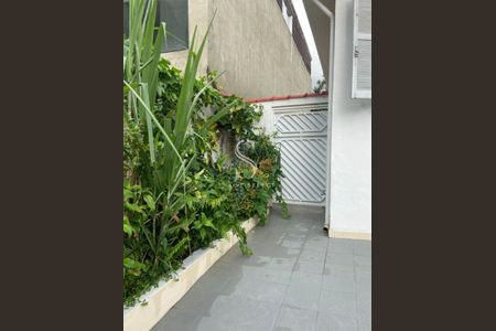 5_photo/94cefecf63.7e205e45731156b0-ATLAS-1989daae-2cdf-49cc-bb89-22ece70f0a5f.jpg de casa à venda com 2 quartos, 330m² em Vila Piaui, São Paulo