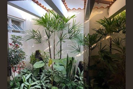 8_photo/94ceff4449.eb7ee1c62e8591fd-ATLAS-30cb6569-b409-49b3-afbd-3d2c8a686e2b.jpg de casa à venda com 4 quartos, 426m² em Continental, Osasco