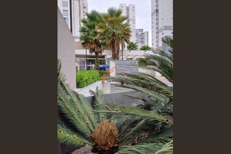 7_photo/94ceff474f.ac17d0cd71c33847-ATLAS-27fda409-2ead-4148-8a53-5f701d81b2b5.jpg de apartamento para alugar com 3 quartos, 70m² em Continental, Osasco
