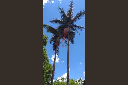 5_photo/94ceff582f.ceff8192393c33de-ATLAS-67f583c9-d968-4eae-bb01-6445b65cb883.jpg de apartamento para alugar com 4 quartos, 360m² em Vila Lageado, São Paulo