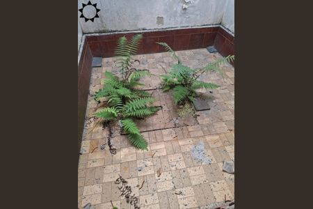 47_photo/94ceff6fd3.3b11735fcf718ff1-ATLAS-6fdd5fa2-9a84-4217-ad51-3ca146a1fc01.jpg de casa para alugar com 3 quartos, 336m² em Jardim Bela Vista, Osasco