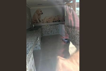 2_photo/94ceff7ed1.ae537c11cfa6cc3a-ATLAS-0ae19b7f-249a-4da1-b80b-2c16a4a63dbc.jpg de apartamento à venda com 2 quartos, 60m² em Jaguaribe, Osasco