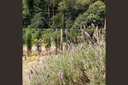 11_photo/94cf0011db.dda3a78fb47de289-ATLAS-8494be9a-9e7d-4c68-90ec-cdd6df6eb873.jpg de casa à venda com 3 quartos, 288m² em Jardim Colonial, Carapicuíba