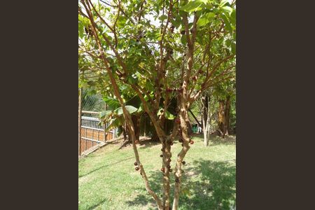 10_photo/94cf005657.4f01e810a805cb87-ATLAS-8b0afed0-6de2-4732-8748-2f5b720ded76.jpg de casa de condomínio à venda com 4 quartos, 280m² em Chácara Vale do Rio Cotia, Carapicuíba