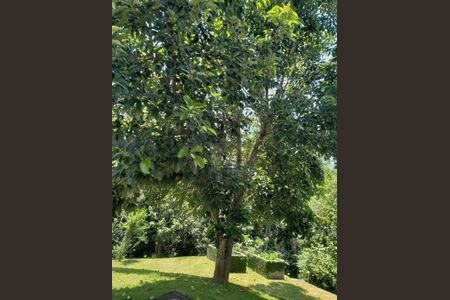 3_photo/94cf0059fd.8cc17f8f7b4e5195-ATLAS-9b489f20-b5a1-44cc-8f48-e8612bbc1841.jpg de casa à venda com 4 quartos, 11m² em Chácara Vale do Rio Cotia, Carapicuíba