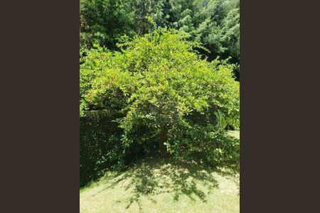 16_photo/94cf0059fd.8cc17f8f7b4e5195-ATLAS-d2fccf88-d20a-40e5-88f5-215a579626b5.jpg de casa à venda com 4 quartos, 11m² em Chácara Vale do Rio Cotia, Carapicuíba