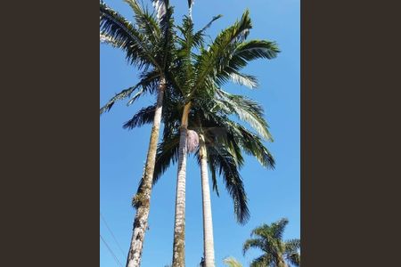 26_photo/94cf00758b.cda01c5f2bf1a0d1-ATLAS-3cab3e16-ade9-4857-9713-2b6bc2fb98ca.jpg de casa à venda com 3 quartos, 256m² em Parque Silvino Pereira, Cotia