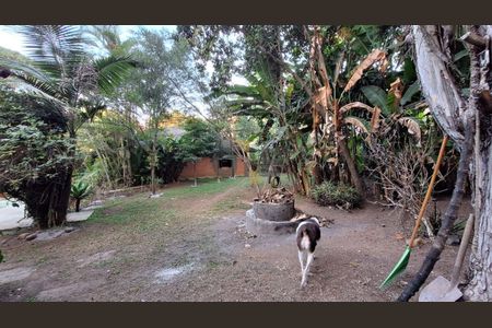 95_photo/94cf007611.9f73e101bd22bb98-ATLAS-5f951971-ca4b-4f18-b3db-dff29265c7f4.jpg de casa para alugar com 4 quartos, 960m² em Vila Santo Antonio de Carapicuiba, Cotia