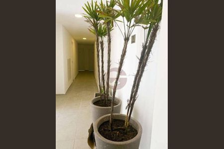 8_photo/94cf00a8a9.f8fc55e3f324cbc3-ATLAS-3ea1d42d-3909-4cea-8ab8-61c144a3702b.jpg de apartamento à venda com 2 quartos, 40m² em Barro Branco, São Paulo