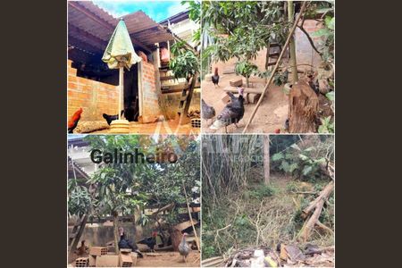 19_photo/94cf00baaf.c9b2d6e14d401612-ATLAS-aca3d901-ae2c-447b-848e-c7cccee0bba1.jpg de casa à venda com 3 quartos, 500m² em Caiapia, Cotia