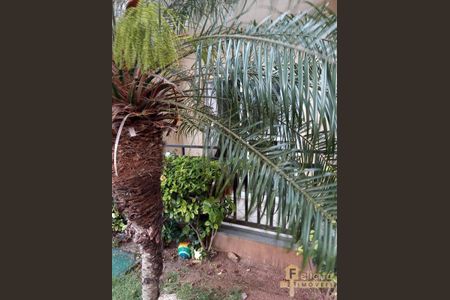 7_photo/94cf015dcb.16787a6ea0be7e8a-ATLAS-5efafa78-1bd0-4355-a747-117b49adccb0.jpg de apartamento à venda com 2 quartos, 67m² em Jardim Audir, Barueri