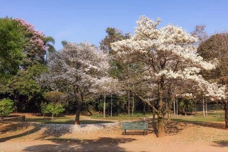 51_photo/94cf0215d7.ceff8192393c33de-ATLAS-a0dc68f1-3afb-4d7f-8eb7-dbddb9d9e817.jpg de casa para alugar com 4 quartos, 1762m² em Alphaville Residencial Um, Barueri