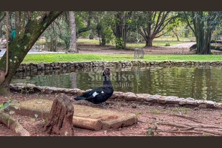 1_photo/94cf023747.8ae1cb5ed2a1280b-ATLAS-dae030ab-dd39-479d-bf9b-e645404fae2b.jpg de casa de condomínio à venda com 4 quartos, 705m² em Jardim Paulista, Barueri