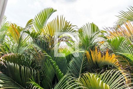 39_photo/94cf0246f5.2c15601846e0cf59-ATLAS-714971fa-c4f0-470a-95f7-202d4543e4cd.jpg de casa à venda com 4 quartos, 400m² em Alphaville Residencial Plus, Barueri