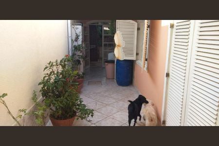 2_photo/94cf03d0f9.70986b2d83168018-ATLAS-78db9dfa-a37f-4ed2-965e-a681d4618db6.jpg de casa à venda com 5 quartos, 279m² em Vila Sargento Jose de Paula, Barueri