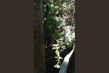 50_photo/94cf03eeaf.5201f2b37237fe26-ATLAS-726db658-89a0-4030-9dbd-9165e6e8968e.jpg de casa à venda com 3 quartos, 156m² em Vila Nova, Barueri