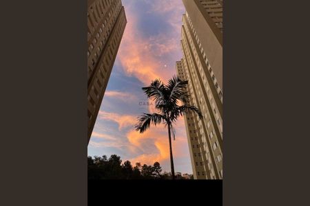 5_photo/94cf03fbd9.8c50d63e4d766ae8-ATLAS-b4b1ff41-efac-4f15-978a-3a20a77c77ae.jpg de apartamento para alugar com 2 quartos, 60m² em Vila Iracema, Barueri