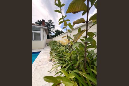 5_photo/94cf050d71.cba3da746242e602-ATLAS-0bd14267-7ccd-4652-b05e-e4df49776370.jpg de casa à venda com 4 quartos, 322m² em Morada dos Pássaros, Barueri