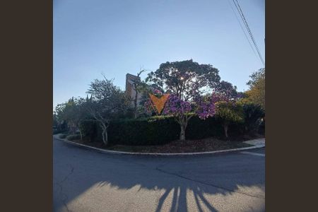 17_photo/94cf056a3b.1cbc3939b3da70f1-ATLAS-4f1d9a0e-369f-4f12-a3ac-acf34e5cd7a6.jpg de casa para alugar com 5 quartos, 575m² em Aldeia da Serra, Santana de Parnaíba