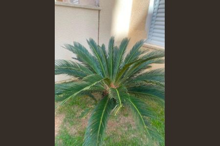 30_photo/94cf06fc93.a5bff4732bdb7926-ATLAS-e78bcf57-d608-460e-8009-126c10c88f00.jpg de apartamento à venda com 2 quartos, 74m² em Chácara Roselândia, Cotia