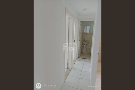 9_photo/94cf071137.357de1f0581b756f-ATLAS-7f58d32c-d583-4e22-aec3-a3614af3e7bc.jpg de apartamento à venda com 2 quartos, 49m² em Lajeado, Cotia