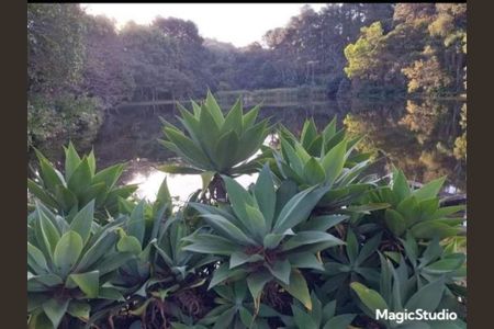 12_photo/94cf0731f3.bdf1def5ceb5107f-ATLAS-e103e3c0-2378-4f58-8236-200bdf40d128.jpg de casa à venda com 4 quartos, 200m² em Granja Carneiro Viana, Cotia