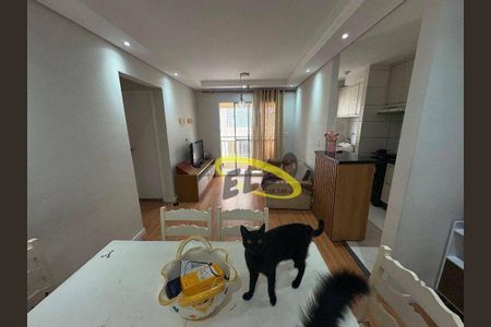 9_photo/94cf074be5.62818e86b8099f2c-ATLAS-aa8ca611-4da7-4872-8d38-da1169e7a9c9.jpg de apartamento à venda com 2 quartos, 50m² em Lajeado, Cotia