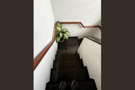 22_photo/94cf0764b9.34beb6889ad9cd13-ATLAS-1d367b9c-ad40-4db6-9c5e-434b5635d97d.jpg de casa à venda com 2 quartos, 339m² em Jardim Leonor, Cotia