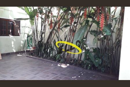 11_photo/94cf077813.b2c1f66c79c6256c-ATLAS-4a07cedb-3d58-4c9e-a152-4e5c97c00847.jpg de casa à venda com 3 quartos, 300m² em Jardim Carmel, Cotia