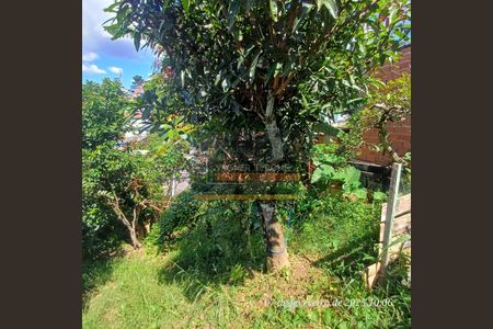 2_photo/94cf0782fb.0abb473e952761da-ATLAS-0899a6c6-d7e2-4ff9-b635-2f7f68cd2d20.jpg de casa à venda com 2 quartos, 88m² em Parque Santa Rita de Cassia, Cotia