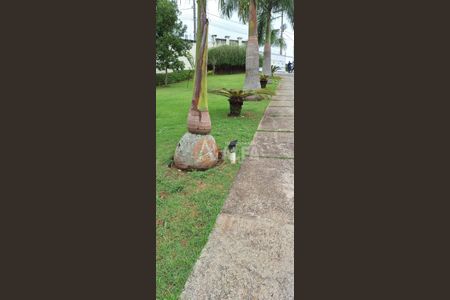 2_photo/94cf0791db.e100dba37721dde7-ATLAS-11239a1f-9944-44b4-aa59-ae836084c7c8.jpg de casa para alugar com 2 quartos, 58m² em Outeiro de Passárgada, Cotia