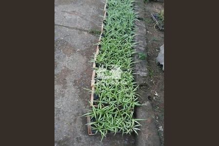 8_photo/94cf07c2a7.ceff8192393c33de-ATLAS-53c66475-d8b3-400a-bdd7-5573c3f98eeb.jpg de casa à venda com 5 quartos, 387m² em Recanto Arco Verde, Cotia