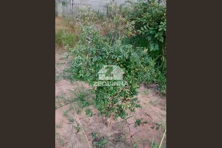 3_photo/94cf07c2a7.ceff8192393c33de-ATLAS-96eba70d-e6c8-45fa-958a-588f55bc52bb.jpg de casa à venda com 5 quartos, 387m² em Recanto Arco Verde, Cotia