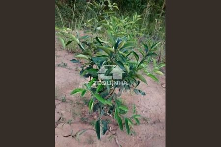 12_photo/94cf07c2a7.ceff8192393c33de-ATLAS-b908ff9b-41c3-4eb7-8317-08c3aa83c946.jpg de casa à venda com 5 quartos, 387m² em Recanto Arco Verde, Cotia