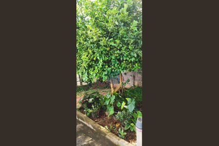 5_photo/94cf204e51.c10bc831121e78e5-ATLAS-b4fa2764-c179-4e81-b383-418d1db1684d.jpg de casa à venda com 2 quartos, 256m² em Jardim Santa Gertrudes, Jundiaí