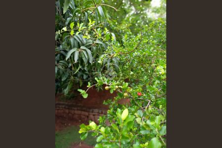 6_photo/94cf20c04d.f0ecc906b832f777-ATLAS-1a409d76-3e90-4ab4-8bc4-c7bf8b136a9e.jpg de apartamento à venda com 3 quartos, 72m² em Jardim Maria de Fatima, Várzea Paulista