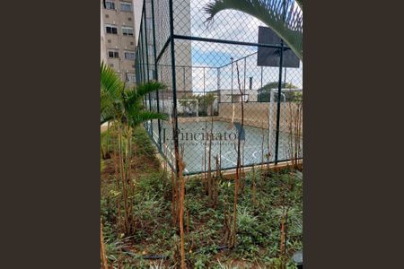 12_photo/94cf20c545.82825c7a28ab1f6b-ATLAS-66e78de8-afee-4609-8d7c-9f3ff48cbd24.jpg de apartamento para alugar com 3 quartos, 59m² em Aglomeração Urbana de Jundiaí, Várzea Paulista