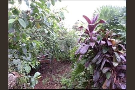 6_photo/94cf20d2d7.ec45c5915be217bb-ATLAS-48fa5659-be25-4b13-9d1c-435eca2a0cd7.jpg de casa à venda com 3 quartos, 207m² em Vila Santa Maria, Jundiaí