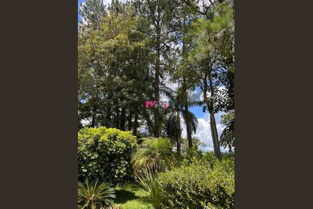 12_photo/94cf21b34b.de1539f27b8bccfe-ATLAS-0d94d29a-d2ef-4858-b3f2-3886a177eb14.jpg de casa à venda com 4 quartos, 450m² em Jardim Santa Gertrudes, Jundiaí