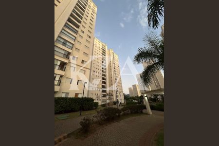 14_photo/94cf254875.79067e305ba85332-ATLAS-08fd680c-d1dc-4f3d-a2b5-778a51490e8e.jpg de apartamento para alugar com 2 quartos, 97m² em Jardim Ermida I, Jundiaí