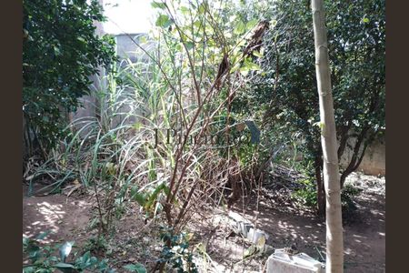 10_photo/94cf25bb0d.6fe88814f58c8792-ATLAS-cadf2cee-928b-43f3-8c6d-aef7d60c58c8.jpg de casa à venda com 3 quartos, 195m² em Jardim Guanabara, Jundiaí